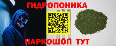 spice Бугуруслан