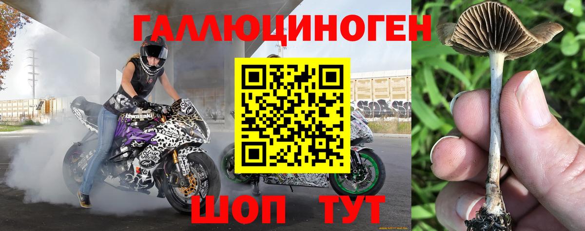 Галлюциногенные грибы мухоморы  Вход с VPN  Мариинск 