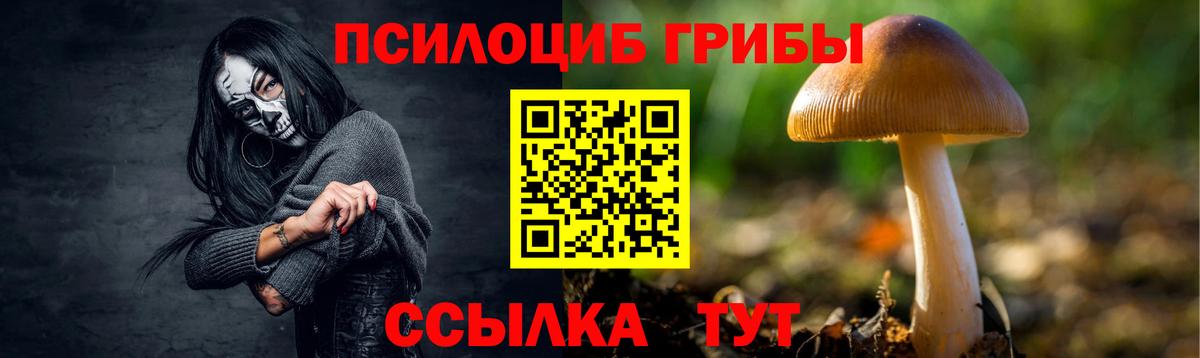 Галлюциногенные грибы MAGIC MUSHROOMS Мариинск